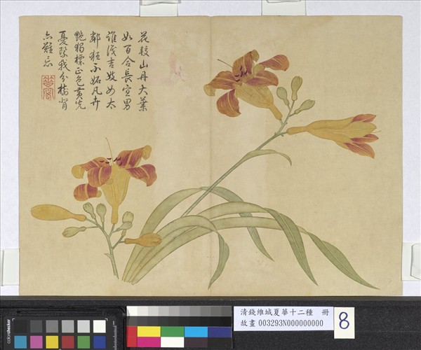 清錢維城夏華十二種冊萱花- 故宮