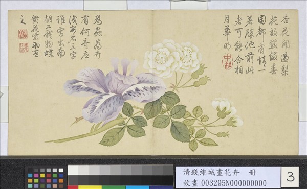 清錢維城畫花卉　冊　梨花鳶尾