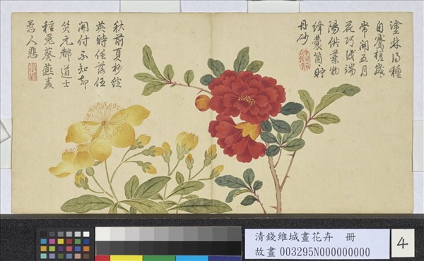 清錢維城畫花卉　冊　桃花石榴