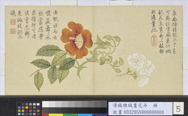 清錢維城畫花卉　冊　茉莉凌霄