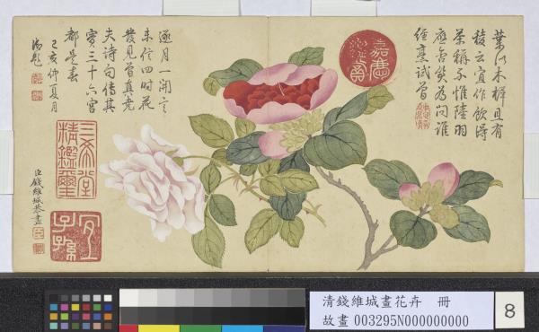 清錢維城畫花卉冊山茶玫瑰- 故宮