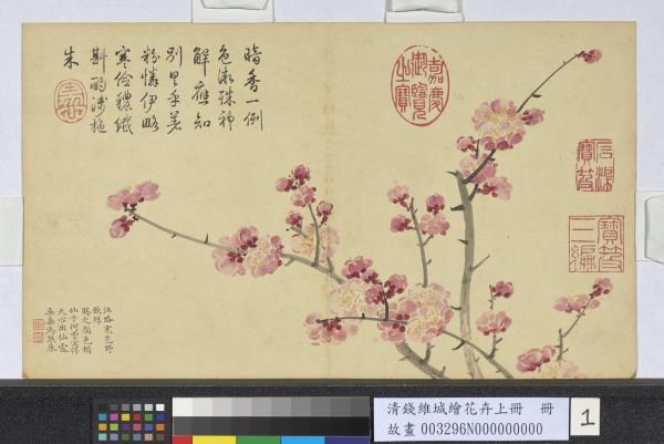 清錢維城繪花卉（上）冊　紅梅
