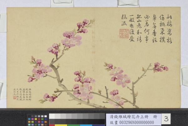 清錢維城繪花卉（上）冊　杏花
