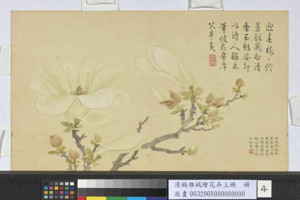 清錢維城繪花卉（上）冊　玉蘭