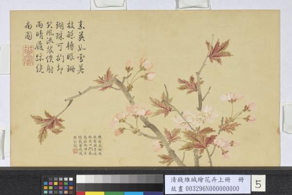 清錢維城繪花卉（上）冊　櫻桃花
