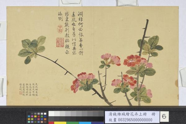 清錢維城繪花卉（上）冊　貼梗海棠