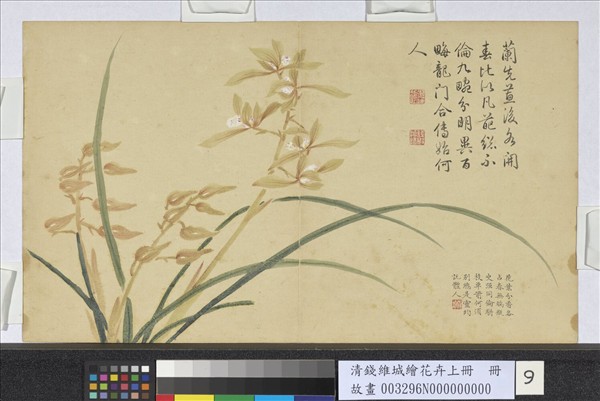 清錢維城繪花卉（上）冊　蕙蘭