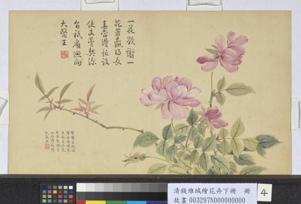 清錢維城繪花卉（下）　冊　長春