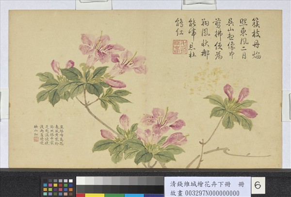 清錢維城繪花卉（下）　冊　山躑蠋