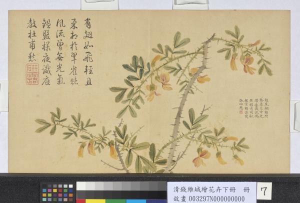 清錢維城繪花卉（下）　冊　金雀