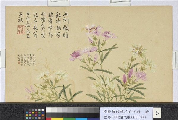 清錢維城繪花卉（下）　冊　石竹