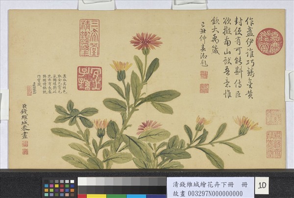 清錢維城繪花卉（下）　冊　金盞