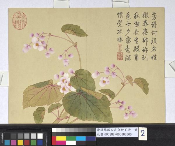 清錢維城畫四氣含和下冊　冊　秋海棠