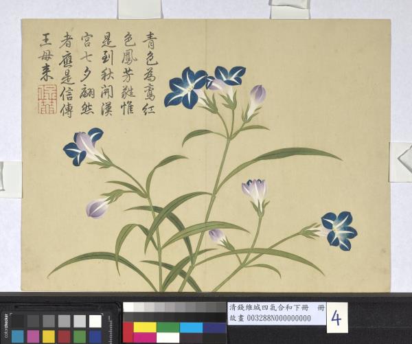 清錢維城畫四氣含和下冊　冊　藍雀花