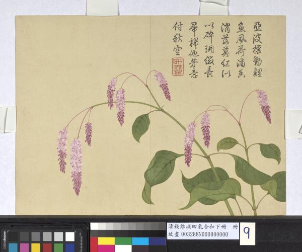 清錢維城畫四氣含和下冊　冊　水葒花