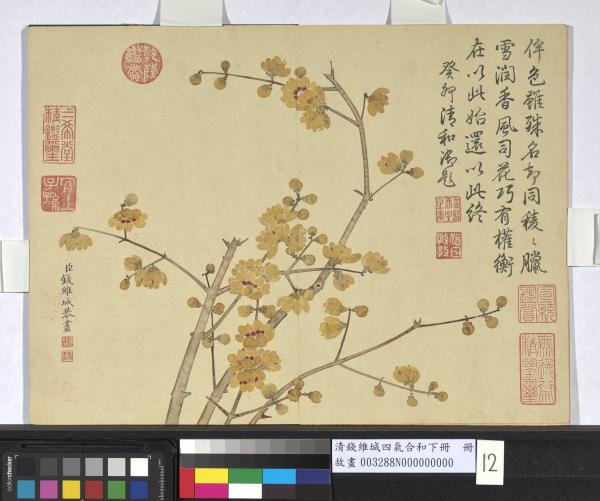 清錢維城畫四氣含和下冊　冊　蠟梅