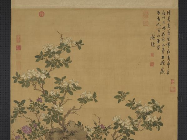 明陳淳設色花卉　軸