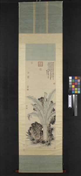 明錢穀倣王蒙蕉石　軸