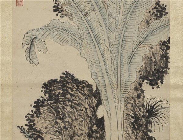 明錢穀倣王蒙蕉石　軸