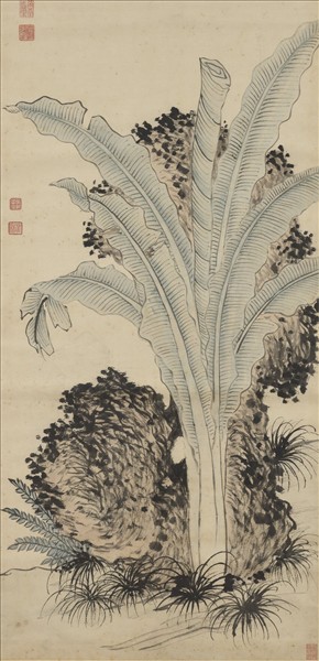 明錢穀倣王蒙蕉石　軸