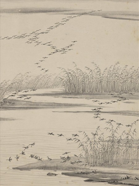 明項聖謨畫蘆雁　軸