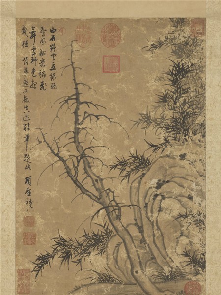 明項聖謨古木幽篁圖　軸
