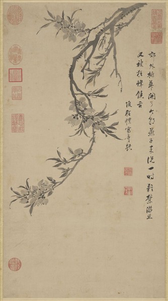 明項聖謨桃花寫生　軸