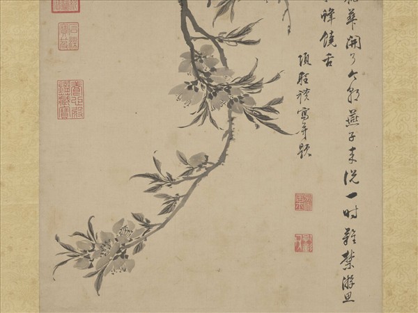 明項聖謨桃花寫生　軸