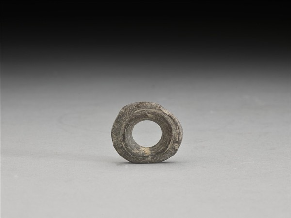 石環形器