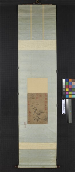 宋趙昌畫花鳥　軸