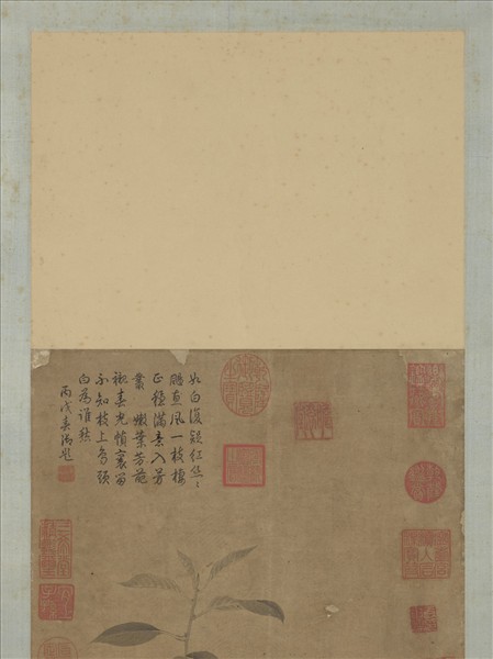 宋趙昌畫花鳥　軸