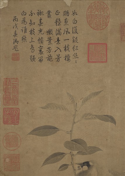 宋趙昌畫花鳥　軸