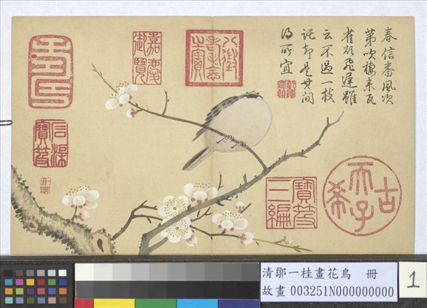 清鄒一桂畫花鳥　冊　梅花麻雀