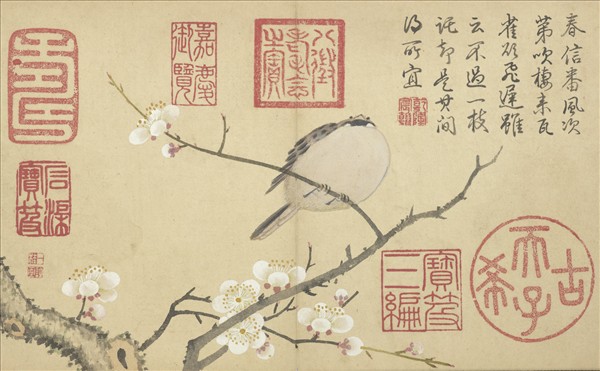 清鄒一桂畫花鳥　冊　梅花麻雀