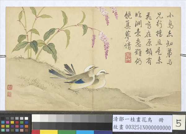 清鄒一桂畫花鳥　冊　紅蓼鶺鴒