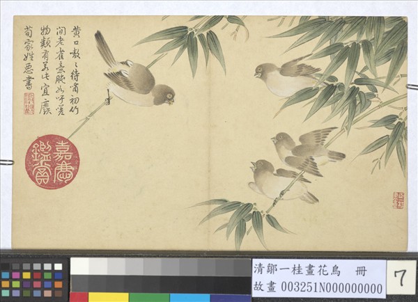 清鄒一桂畫花鳥　冊　竹雀