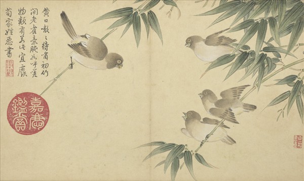 清鄒一桂畫花鳥　冊　竹雀