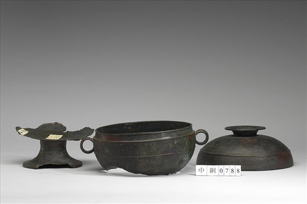 分離式獸帶紋豆