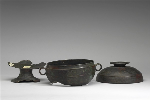 分離式獸帶紋豆