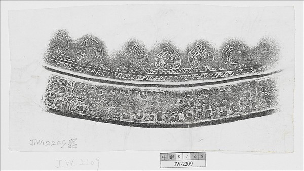 分離式獸帶紋豆