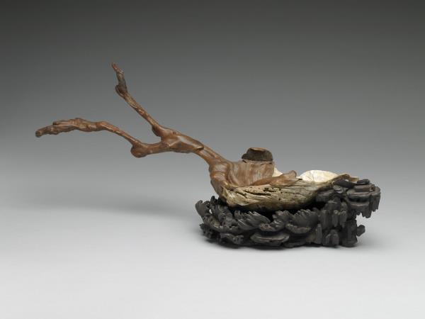 天然嵌貝殼樹根