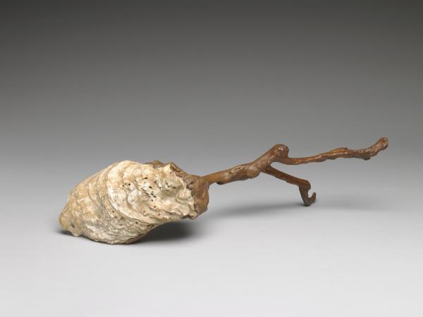 天然嵌貝殼樹根