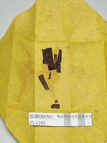 白檀木顯字枝葉