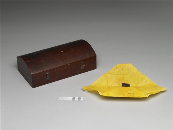 白檀木顯字枝葉