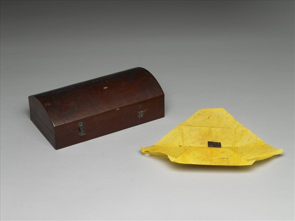 白檀木顯字枝葉