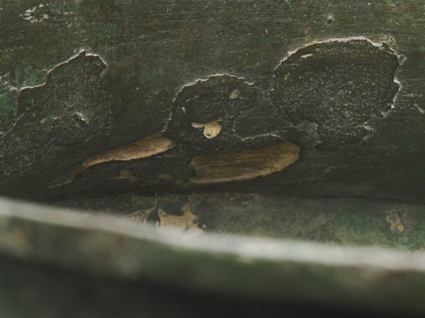 鉤連乳丁紋羊首罍