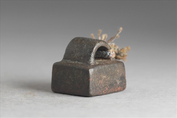 「蒲彊私印」銅印