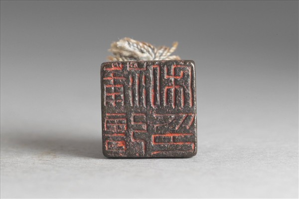 「蒲彊私印」銅印