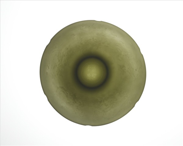 甜白五龍紋葵瓣口碗