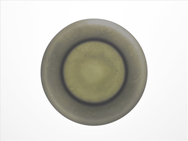 甜白半脫胎九龍盤